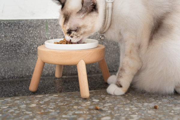 年長貓孩使用8公分高的水平小型單碗 / 流星碗架