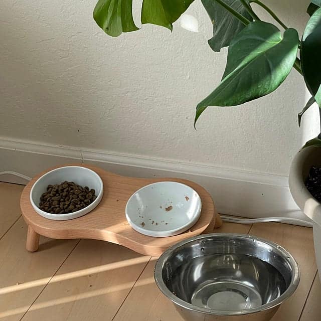 Cat feeding bowl