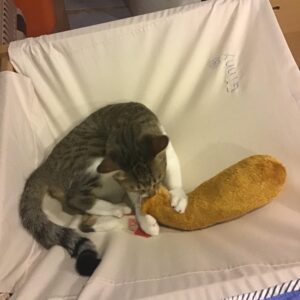 評價照片