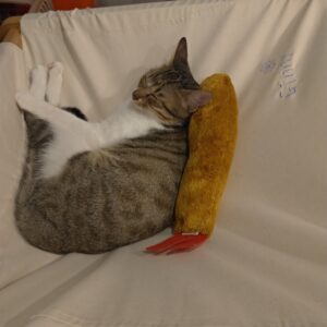 評價照片