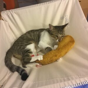 評價照片