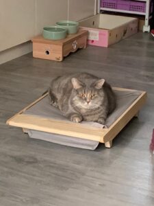 評價照片