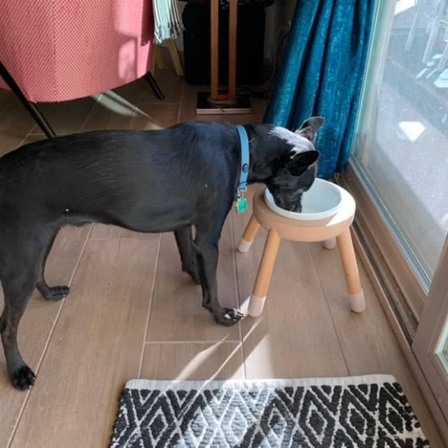 評價照片