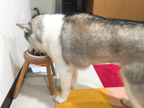 評價照片