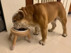 評價照片
