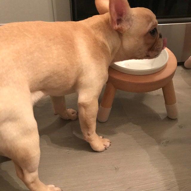 評價照片