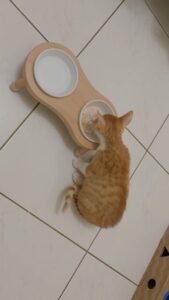 評價照片