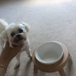 評價照片