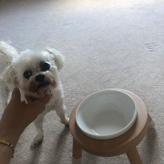 評價照片