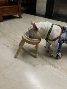 評價照片