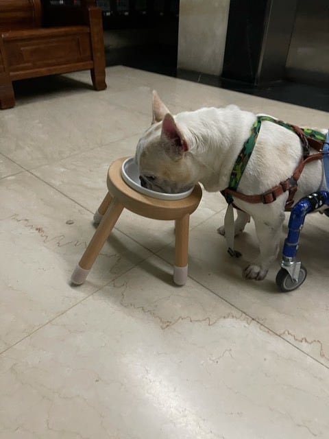 評價照片