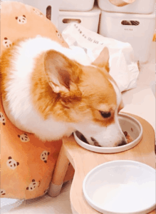 評價照片