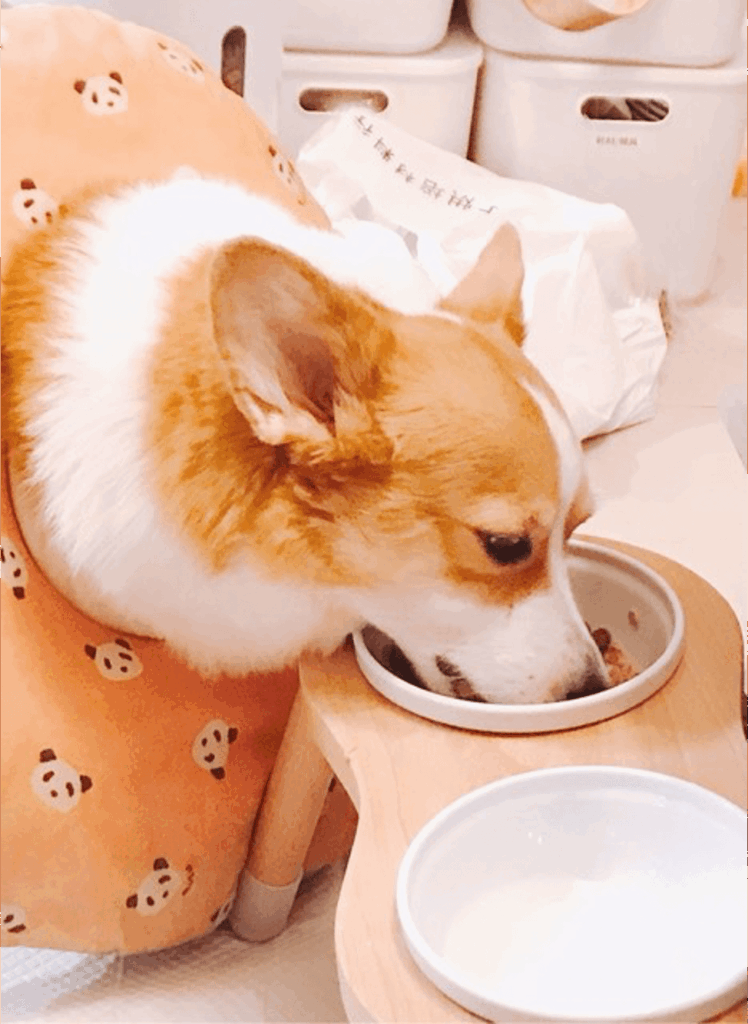 評價照片