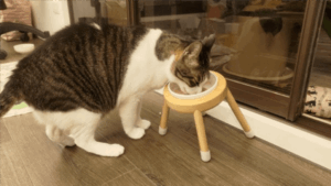 評價照片