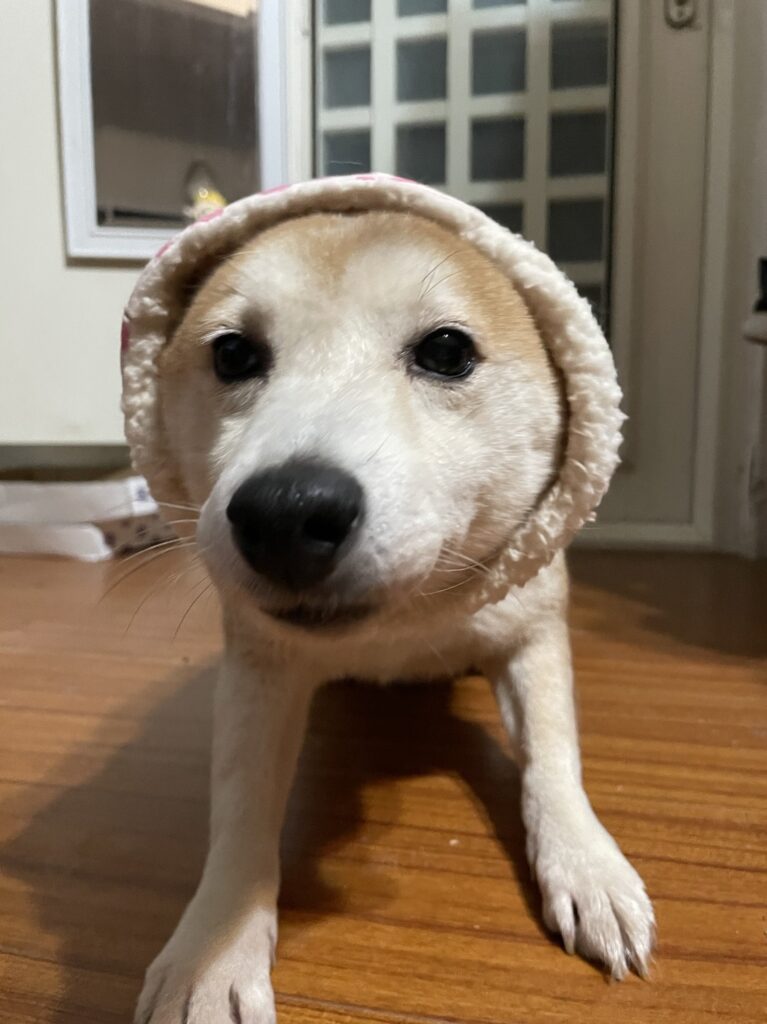 評價照片