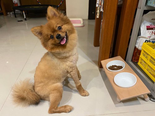 評價照片
