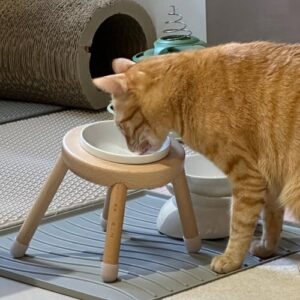 評價照片