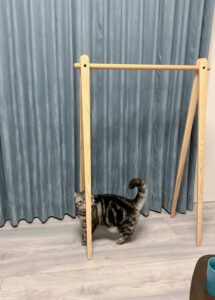 評價照片