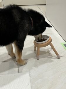 評價照片