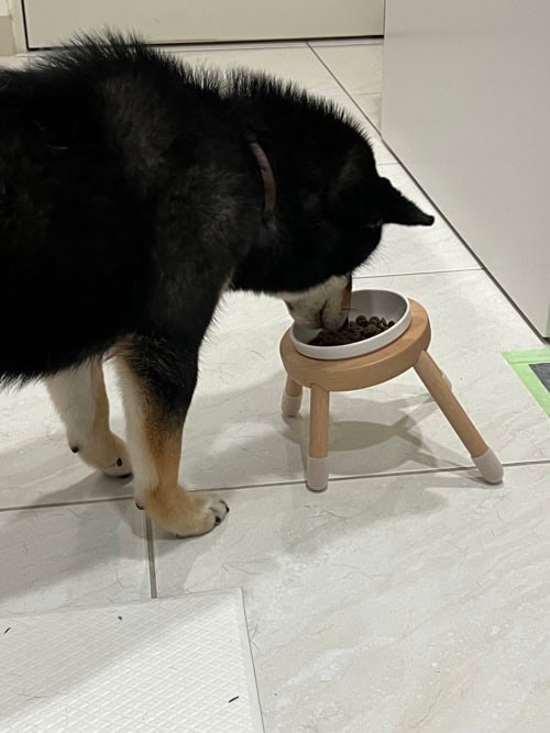 評價照片