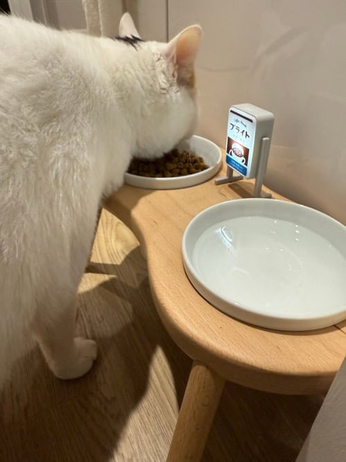 評價照片
