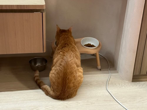 評價照片