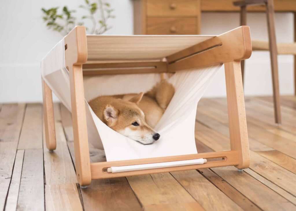 柴犬躺在袋鼠窩米白布套內，頭靠在布套前緣向外看