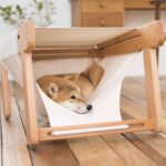 柴犬躺在袋鼠窩米白布套內，頭靠在布套前緣向外看