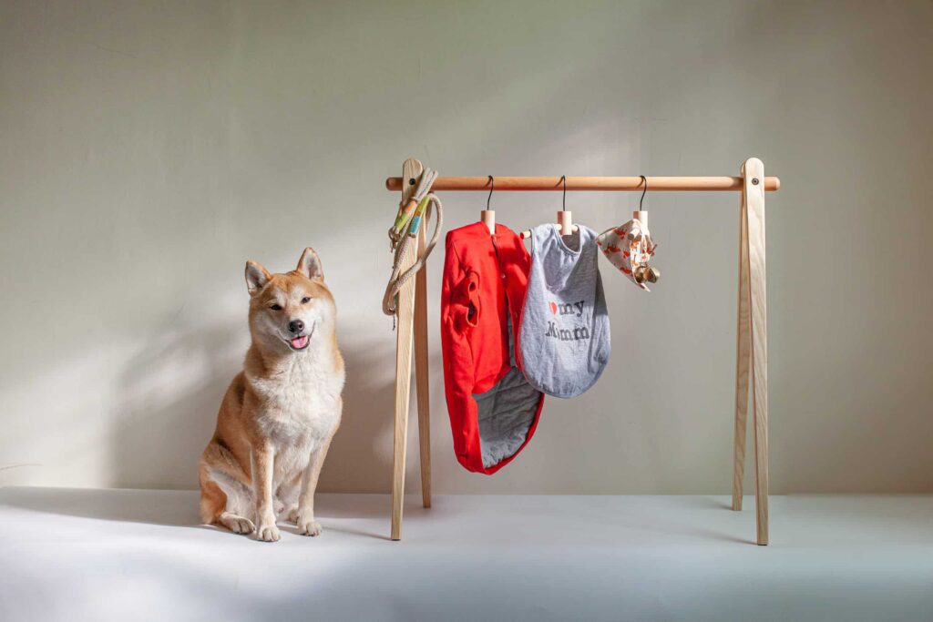柴犬坐在掛著寵物衣物與牽繩的衣架旁