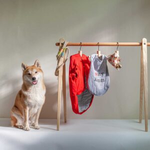 柴犬坐在 75 公分高的小白鷺衣架旁，架上掛著牽繩、紅色狗雨衣、圍兜與領巾