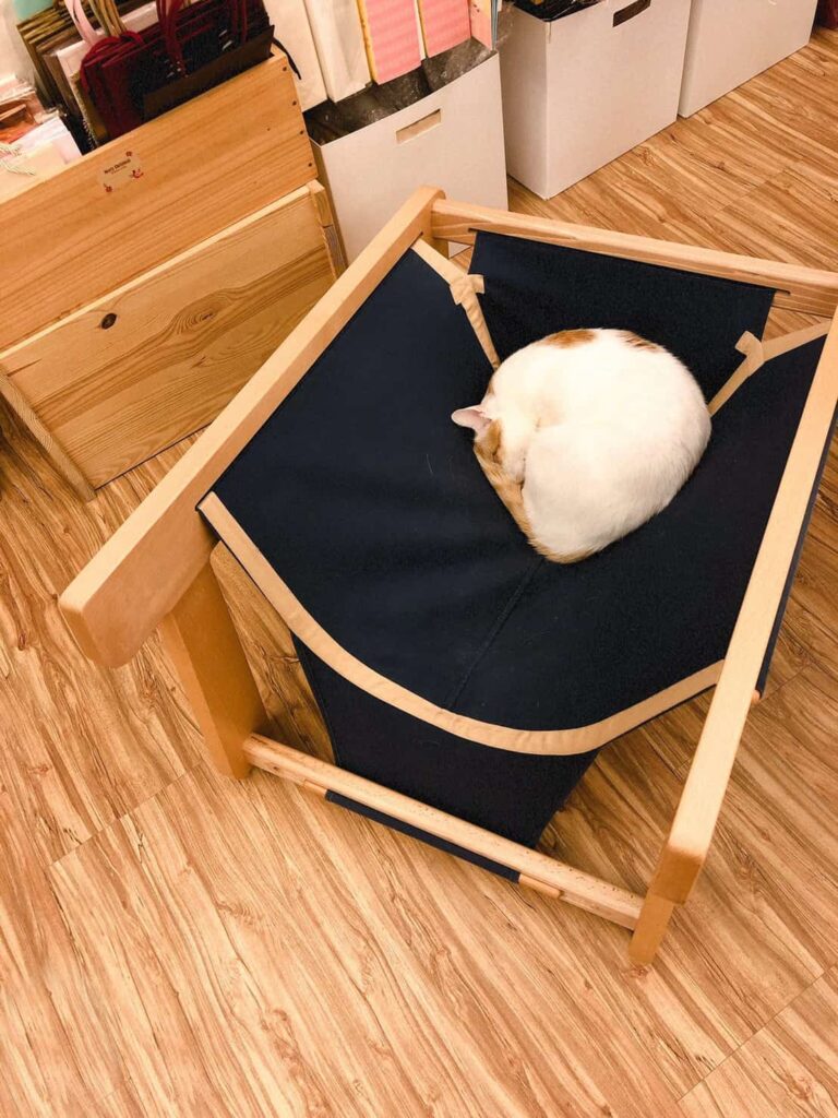 袋鼠窩深藍布套俯視，可見中央接縫與米黃色包邊，白橘貓蜷臥其上