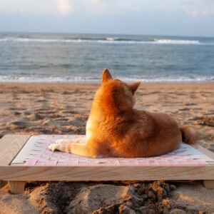 柴犬趴在沙灘上的白日夢編織寵物床，背對鏡頭望向海面