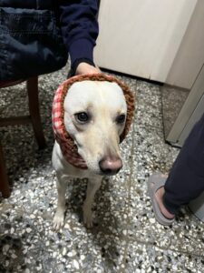 評價照片